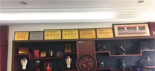 植絨系列產(chǎn)品的專業(yè)制造 福建強(qiáng)盛植絨皮革